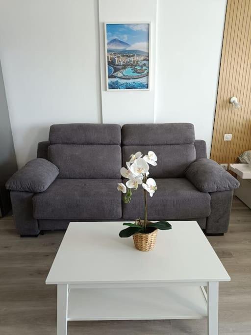 Estudio Girasol Puerto de la Cruz  Dış mekan fotoğraf