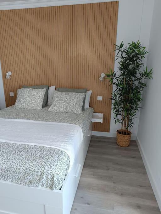 Estudio Girasol Puerto de la Cruz  Dış mekan fotoğraf